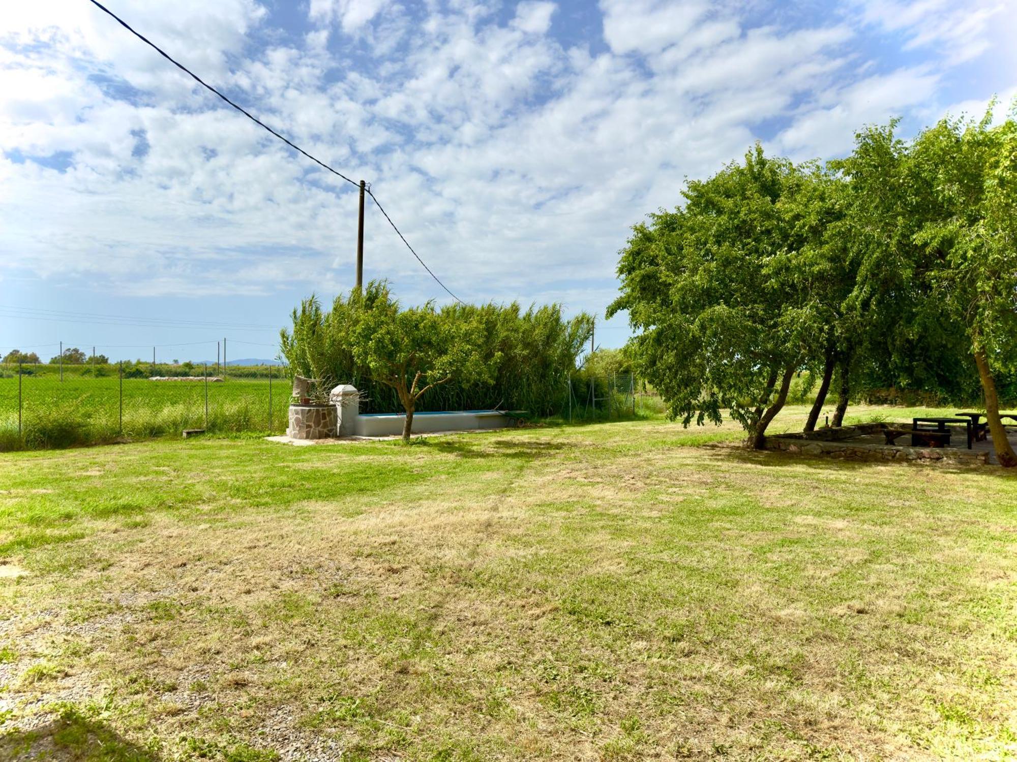 Pianferrari Agriturismo In Maremma Alberese Dış mekan fotoğraf